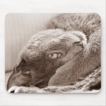 Silver the Cat Mousepad