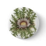 Silver Thistle Collection Pinback Button