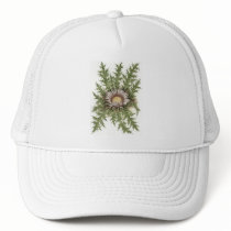 Silver Thistle Collection hats
