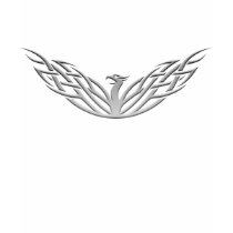 Silver Tribal Phoenix T-Shirt by skyridergalaxy Silver Tribal Phoenix T-Shirt