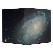 Silverado Galaxy NGC 3370 UGC 5887 SN 1994AE Binders