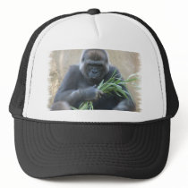 Silverback Gorilla Baseball Hat