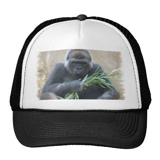 Silverback Gorilla Baseball Hat Zazzle