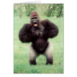 Silverback Gorilla Beating Chest Greeting Cards