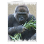 Silverback Gorilla Greeting Card