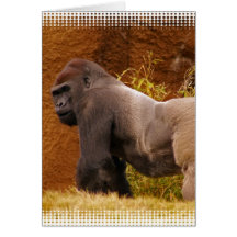 Silverback Gorilla Photo Greeting Card