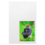 Silverback Gorilla Photo Painting stationery