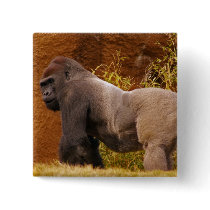Silverback Gorilla Photo Square Pin