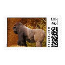 Silverback Gorilla Photo Stamp