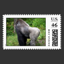 Silverback Gorilla Postage Stamps