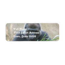 Silverback Gorilla Return Address Label
