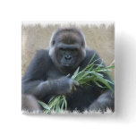 Silverback Gorilla Square Pin buttons