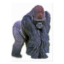 Silverback Gorilla, White Back (g2p2) Business Card