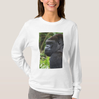 silverback gorilla t shirts