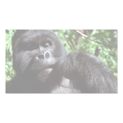 Silverback male gorilla business cards (back side)