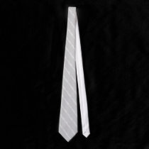 SILVERDOT Tie ties