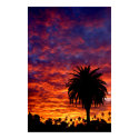 Silverlake Sunrise posters by kcoop Silverlake Sunrise posters