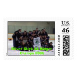 silverstickchamps, Silver Stick AA Midget Champ... postage