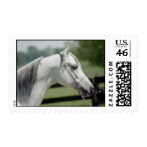 Silverstone Shamal postage