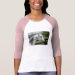 Ladies 3/4 Sleeve Raglan (Fitted)