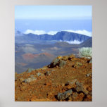 Silversword on Haleakala Crater  Rim from near 2