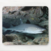 Silvertip Shark Mouse Pads