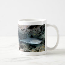 Silvertip Shark Mugs