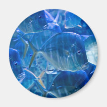 Silvery Tropical Fish Magnet