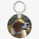 Simba keychains