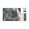 Simba Lou postage by shore1 Simba Lou postage