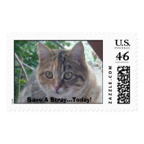 Simba Lou postage by shore1 Simba Lou postage