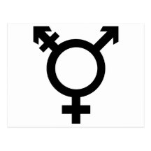 Símbolo negro del transexual tarjetas postales