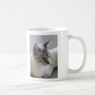 Simon The Feral Now Lovable Cat Photo Design Mug