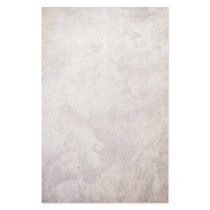 Simple Antiqued Style Stationery Paper