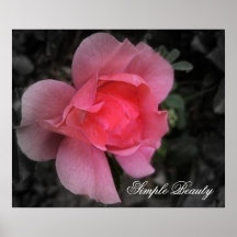 , Simple Beauty Matte Canvas Print
