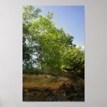 Simple Beauty Poster
