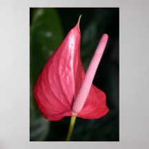 simple beauty poster