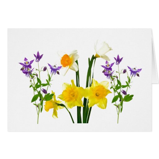 simple-condolence-card-zazzle