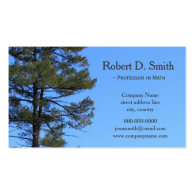 Simple,cool evergreen pine tree in sky business cards