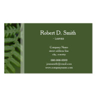 Simple,cool green fern professional business cards