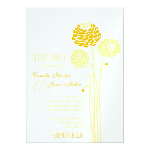 gold dahlias