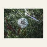 Simple Dandelion Postcard