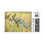Simple Delight Postage Stamps
