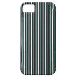 Simple elegant black tiffany blue striped stripes iPhone 5 covers