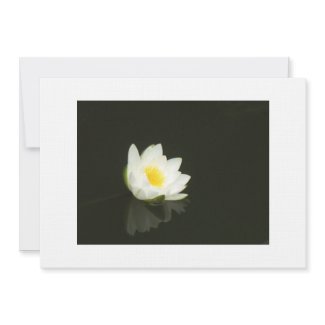 Simple Flower Invitation invitation