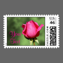 Simple Love, A Single Romantic Rose postage