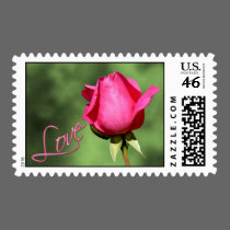 Simple Love, A Single Romantic Rose postage