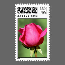 Simple Love, A Single Romantic Rose postage