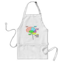 simple parts of the brain japanese aprons