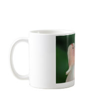 Simple Pleasures mugs